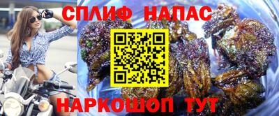 дмт Обнинск