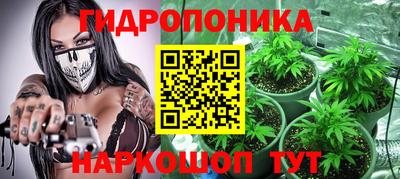 ALPHA-PVP Новозыбков
