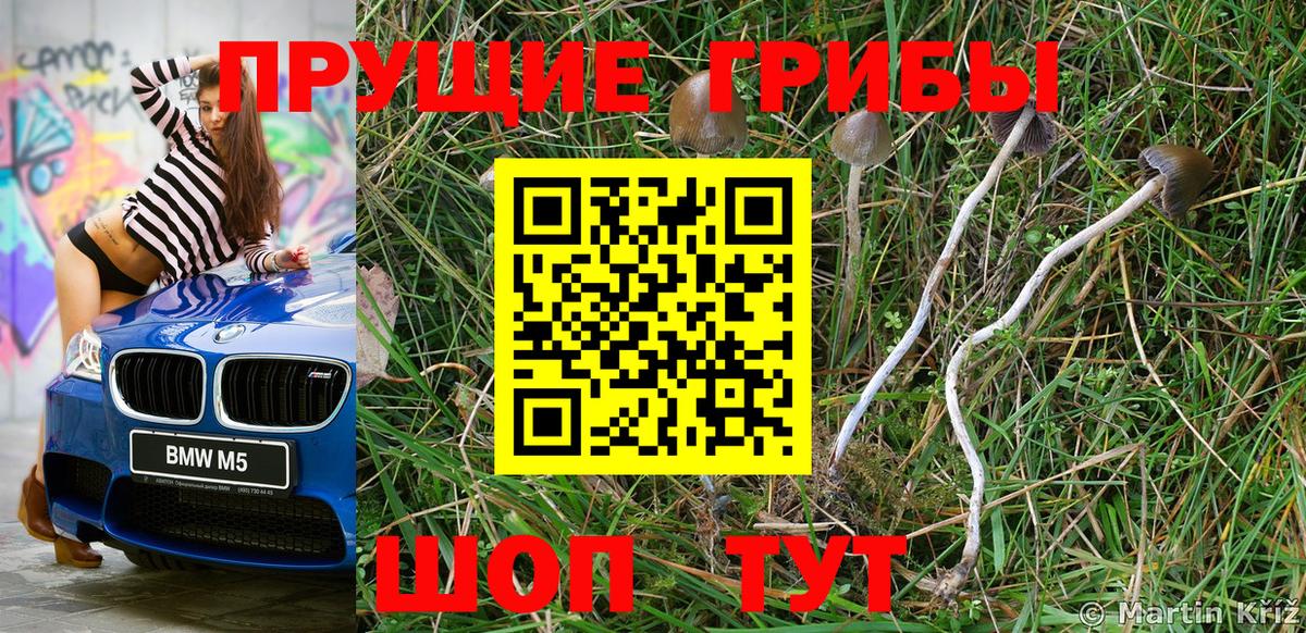 Псилоцибиновые грибы Cubensis  Псилоцибиновые грибы мухоморы  Тобольск  Вход с VPN 